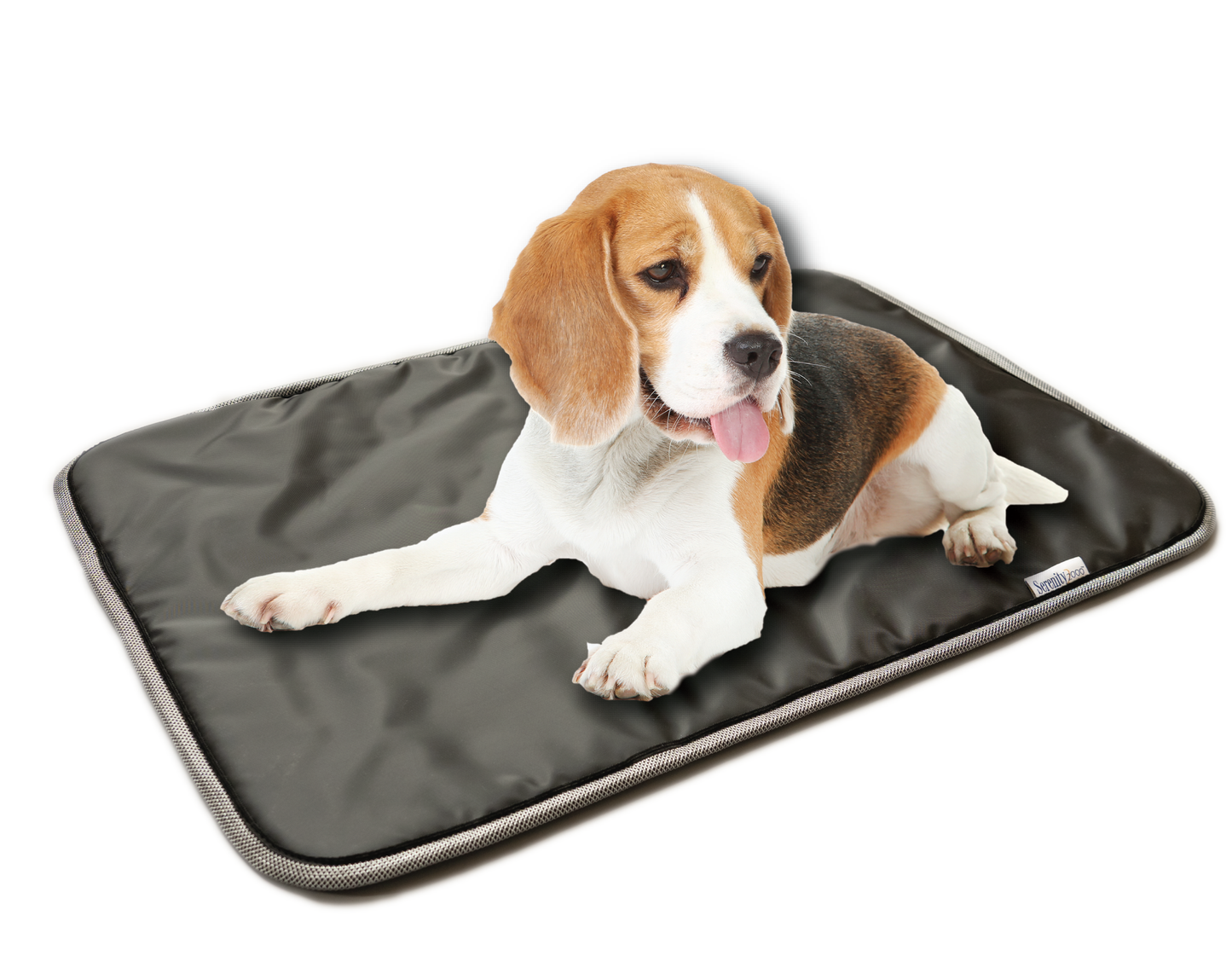 Pet Pad with Water "Repellent" & "Ripstop" cover - NEW