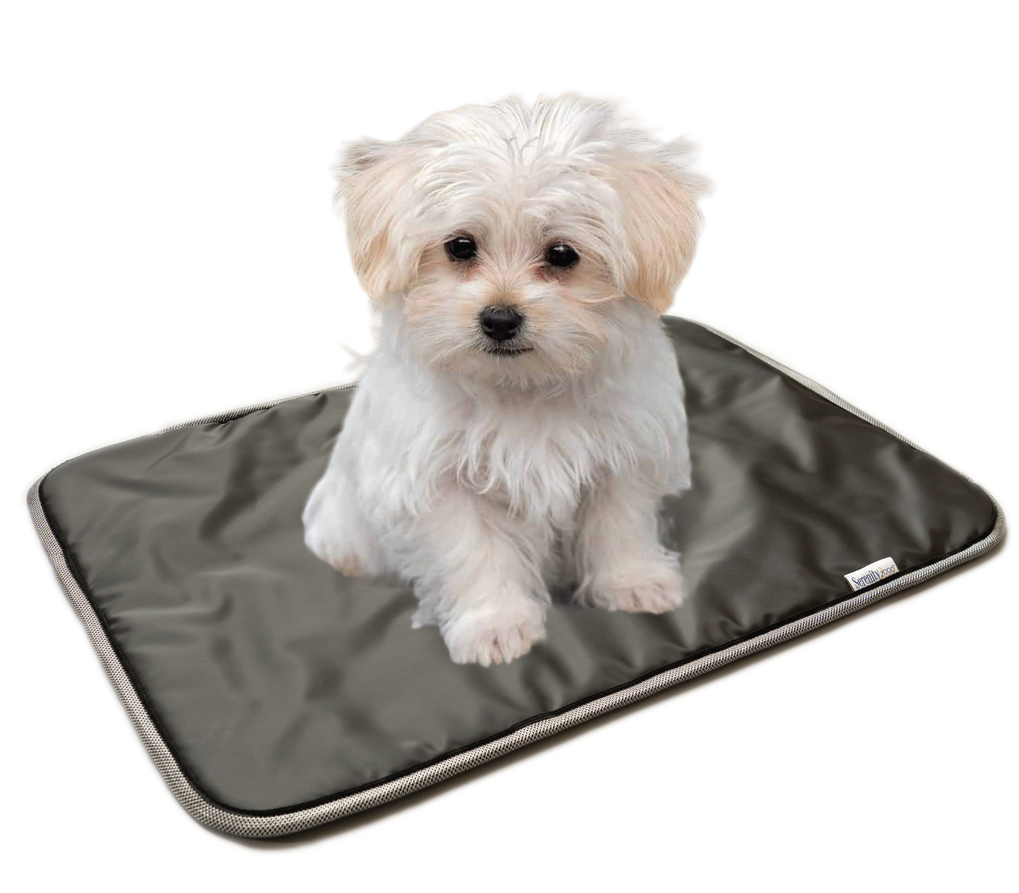 Pet Pad with Water "Repellent" & "Ripstop" cover - NEW